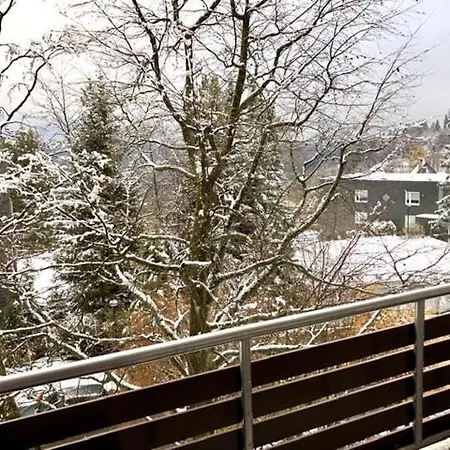 Fewo Kappi Winterberg Exterior photo